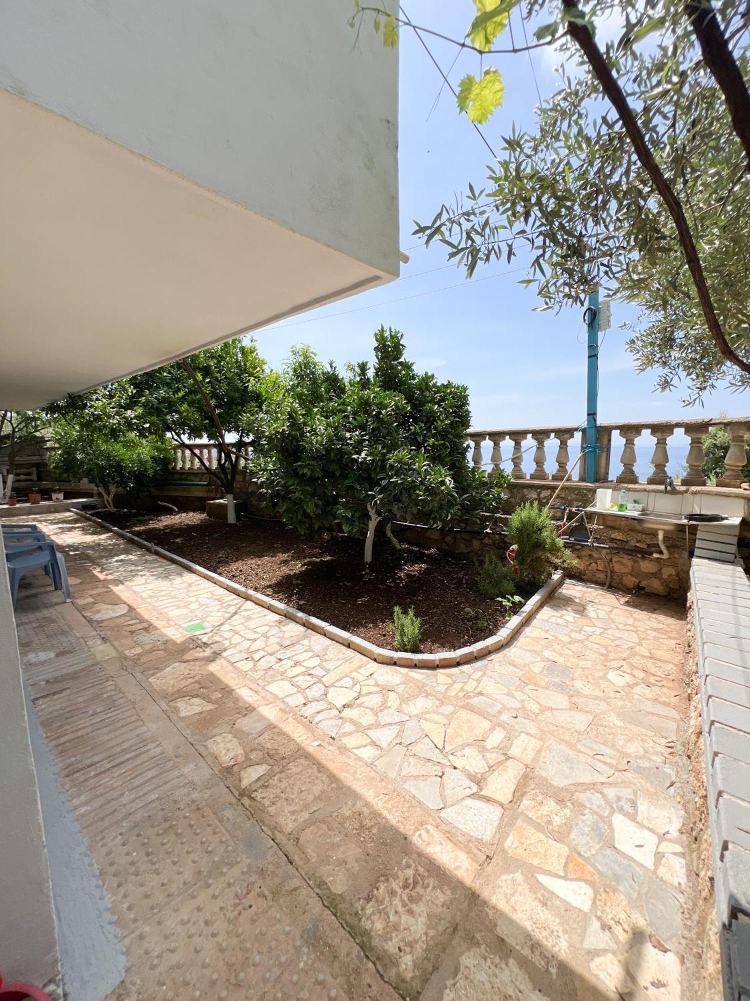 Petra Oliva Apartment Дхерми Экстерьер фото
