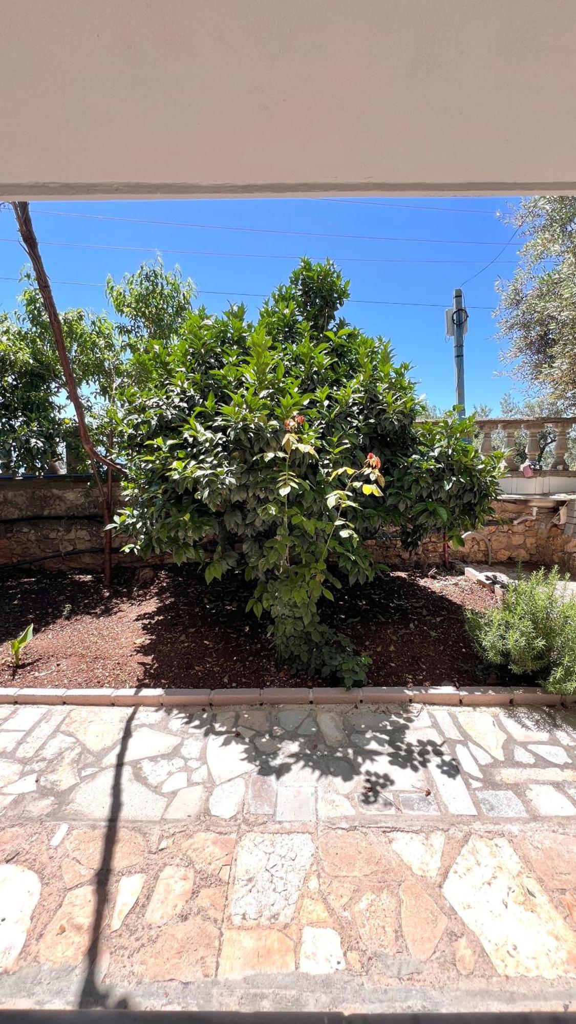 Petra Oliva Apartment Дхерми Экстерьер фото